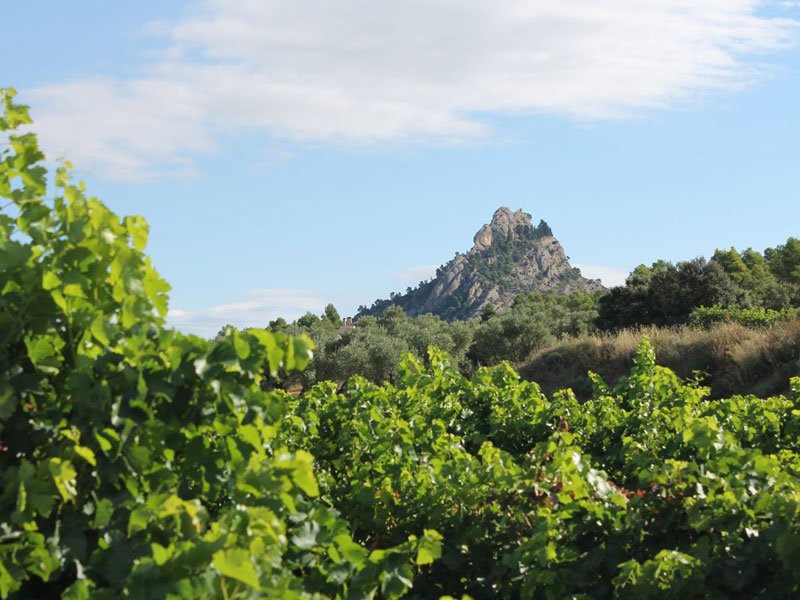 Horta in Spring